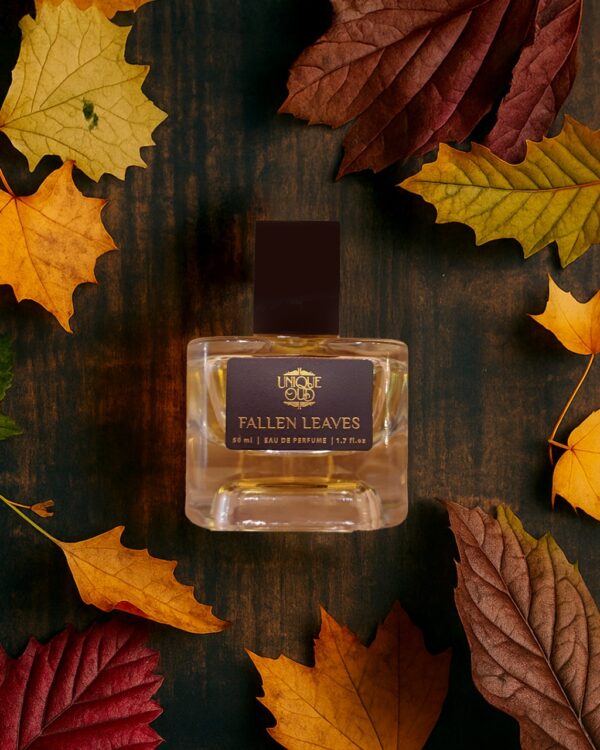 Fallen Leaves - الأوراق المتساقطه